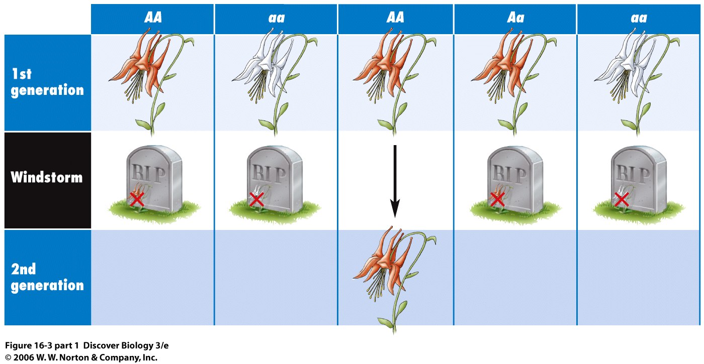 BIO 7: May 14 Preview